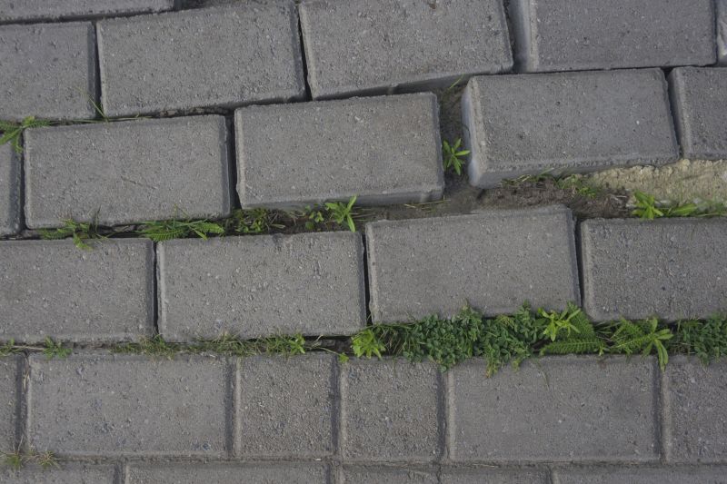 Signs Your Paver Patio Or Walkway Needs Professional Repair